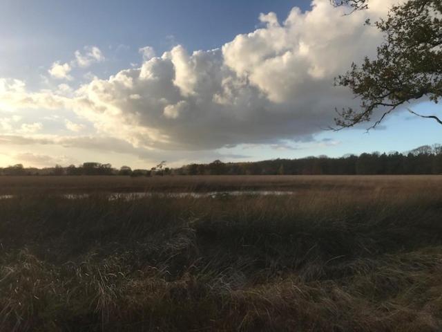 De Deelderij Lägenhet Schoonloo Exteriör bild