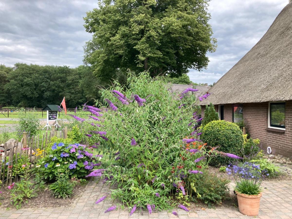 De Deelderij Lägenhet Schoonloo Exteriör bild